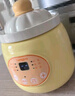 藤婆（tengpo）迷你电炖锅 电炖盅 一人食锅陶瓷燕窝小型煮粥神器一人份养生家用煲汤炖汤锅0.5L小容量全自动电锅 宝妈推荐【升级宝宝款】 0.5L 实拍图