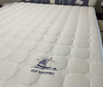 南极人（Nanjiren）单人学生宿舍床垫1.2米x2米乳胶软垫可折叠榻榻米地垫床被褥垫子 南极人-波浪白蓝D【约9cm厚】 120x200cm【抗压回弹】 实拍图