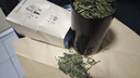 西湖牌2025新茶上市 雨前浓香龙井茶叶传统纸包250g春茶绿茶 杭州茶厂 实拍图