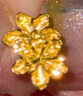 六福珠宝 足金栀子花黄金耳钉耳饰 计价 GMGTBE0007 约1.00克-配硅胶耳堵 实拍图