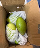 田良季广西金煌芒果特大芒大青玉水仙新鲜芒果凯特生鲜水果送礼品物盒 净重9斤装【很划算】 甄选特级果【单果300-450g】 实拍图