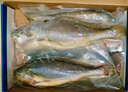 鲜京采 冷冻三去黄花鱼(宁德大黄鱼)1700g (5条装)  礼盒  生鲜 海鱼 实拍图