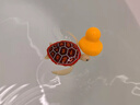ZURU 乐波海龟 儿童宝宝洗澡玩具 游泳电动浴室戏水玩具 电动海龟7192 实拍图