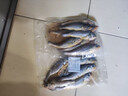 舟山渔场小黄鱼11-13条/斤(含冰25%)黄花鱼野生海捕源头直发 野生小黄鱼8条/袋*2袋 实拍图