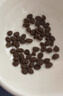Orijen渴望猫粮 幼猫干粮 全价通用低敏无谷高蛋白进口5.4kg 效期26/7 实拍图