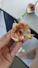 蒙牛真果粒黄桃味【真实果粒+优质生牛乳】250g×12盒 新老包装随机发 实拍图