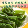 赶海弟 海带结500g 盐渍脱水海带扣片丝 凉拌菜 煲汤火锅食材 海鲜干货 实拍图