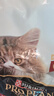 冠能猫粮成猫猫粮三文鱼味7kg 全价猫粮 稳固免疫 适口性强 实拍图