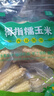熙食甄谷 零0添加云南手拇指小玉米婴儿童甜糯黏玉米粒棒早餐代餐杂粮2斤 实拍图