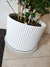 陶瓷花盆绿植盆栽亚光北欧风简约花盆大号桌面绿植盆送塑料托盘 白色 特大号（20*20*16） 实拍图