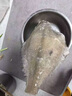 尚致鲽鱼身碟鱼格陵兰比目鱼深海鱼鸦片鱼整条鲽鱼头生鲜礼盒 【超大无冰】3-4条 2500g 鲽鱼身 实拍图