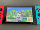 京盏正品Switch游戏手柄Joy-Con适配HD体感震动ns无线蓝牙oled经典红蓝健身环霍尔摇杆双马达非任天堂 【红蓝】支持健身环/体感/震动 joycon手柄+【无手绳】 实拍图