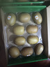 佳沛（zespri）新西兰  阳光金奇异果10粒礼盒巨大果单果约144-175g 水果 猕猴桃 实拍图