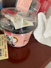 生和堂龟苓膏奶香红豆味222g*6杯箱装 儿童零食 夏季零食 奶味零食 解馋 实拍图