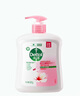 滴露（Dettol）洗手液滋润500g*6 抑菌洗手液家庭装大桶儿童消毒无酒精温和护手 实拍图