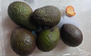 京鲜生 秘鲁进口牛油果 大果6粒装(非即食)单果重130g起 生鲜水果 实拍图