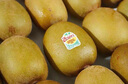 佳沛（zespri）新西兰 阳光金奇异果12粒礼盒特大果单果约122-146g 猕猴桃 水果 实拍图