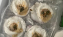 獐子岛 冷冻蒜蓉粉丝扇贝 净重600g 18只 烧烤食材 生鲜 海鲜水产  实拍图
