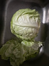 新鲜甘蓝包菜卷心菜新鲜嫩绿莲花白现摘现发到京东来买菜 新鲜包菜 1.5-2斤 人工挑拣 实拍图