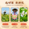 南同四海茉莉花苞茉莉花茶广西横县精茉莉花茶特品级孕妇茉莉花茶茶叶50g 实拍图