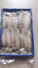 卖鱼七郎全籽笔管鱼2斤（含保护冰100g）鱿鱼海兔子籽乌满籽带籽软足类 实拍图