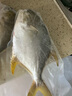 翔泰海南深海金鲳鱼700g 2条 烧烤 火锅 生鲜鱼类 BAP认证 海鲜水产 实拍图