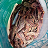 Meatyway爵宴'自然之味'宠爱礼盒1.072kg 宠物狗狗零食训犬大礼包 实拍图