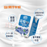风行牛奶 蓝莓风味牛奶饮品 200ml*12盒 牛奶礼盒装 送礼佳品 实拍图