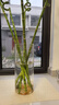 兜拍特大号加厚玻璃花瓶直筒水培花瓶水培富贵竹转运竹透明百合 口径12CM高30CM【高硼硅】单只 实拍图