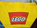 乐高（LEGO）积木拼装机械组系列42171 梅赛德斯F1赛车男孩玩具生日礼物 实拍图