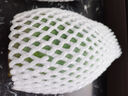 京鲜生 攀枝花凯特芒果 净重8.5斤 带箱9斤 单果400g+ 生鲜水果源头直发 实拍图