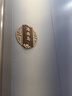 金羚（JINLING）集成吊顶排气扇卫生间排风扇厕所换气BPT10-22-1D银色 实拍图