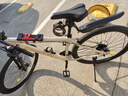 飞鸽（FLYING PIGEON）禧玛诺山地自行车铝合金内走线变速成人男女士青少年大中小学生车 战神2代-禧玛诺21速-奶茶色 29英寸(适合身高180-195cm) 实拍图