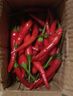 新鲜小米辣超市品质小米椒即食生鲜调料小米辣 100g 实拍图