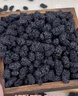 新边界（new boundaries）桑葚干王250g 精选新疆无沙桑子即食超大颗粒桑椹子养生泡酒泡茶 实拍图