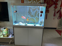 森森（SUNSUN）鱼缸水族箱客厅免换水风水家用金鱼缸 1米长 34.6cm宽 时尚底滤(黑白灰可选) 实拍图