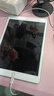 Apple/苹果 二手平板电脑 iPad 2020  10.2英寸 ipad8 学生电脑 网课 99新 2020款（ipad8） 国行零售机 店保 128G WIFI版（单机＋电脑包） 实拍图