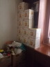 伊利金领冠育护【5倍DHA好脑力】幼儿奶粉3段(1-3岁)1200g三联装 实拍图