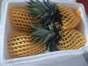 京鲜生 海南冬蜜凤梨 净重4.5斤单果650g 新鲜水果青皮菠萝生鲜源头直发 实拍图