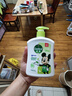 滴露（Dettol）洗手液茉莉绿茶清香500g*2 迪士尼儿童洗手液补充装家庭抑菌消毒  实拍图