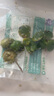 疯狂水草（FKSC）浮萍活体水草一叶莲水芙蓉植物养龟鱼池造景直接入缸水上烟花 圆心萍5朵 实拍图