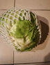 圆白菜约1kg 实拍图