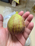 京鲜生 糖包子无花果   净重200g 生鲜水果 实拍图