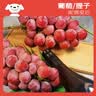 京鲜生 妮娜皇后葡萄 红酒风味 尝鲜装1-1.5斤 单果12g起 生鲜水果 实拍图