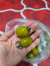 京鲜生山东千禧圣女果 净重4.5斤 寿光小番茄小西红柿水果蔬菜源头直发 实拍图