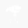 飞鸽中大童儿童滑板车2-3-6-12岁防侧翻滑步车滑行车溜溜车滑滑车 薄荷蓝【 越野闪光轮】 实拍图