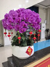 南孚5号碱性电池30粒 黑标款Blacklabel 新旧不混 适用于电动玩具/鼠标/体重秤/遥控器/美容仪等 LR6 实拍图