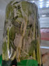 绿色韭菜 250g 实拍图
