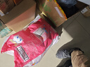 南孚7号电池40粒 七号碱性 聚能环5代 适用耳温枪/血糖仪/无线鼠标/遥控器/血压计/挂钟/血氧仪等 实拍图