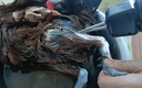 三个小厨全自动家禽拔毛器电动去鸡鸭鹅毛神器多功能防水充电加商用脱毛机 大功率至尊款/耐磨锥头/快速拔毛 实拍图